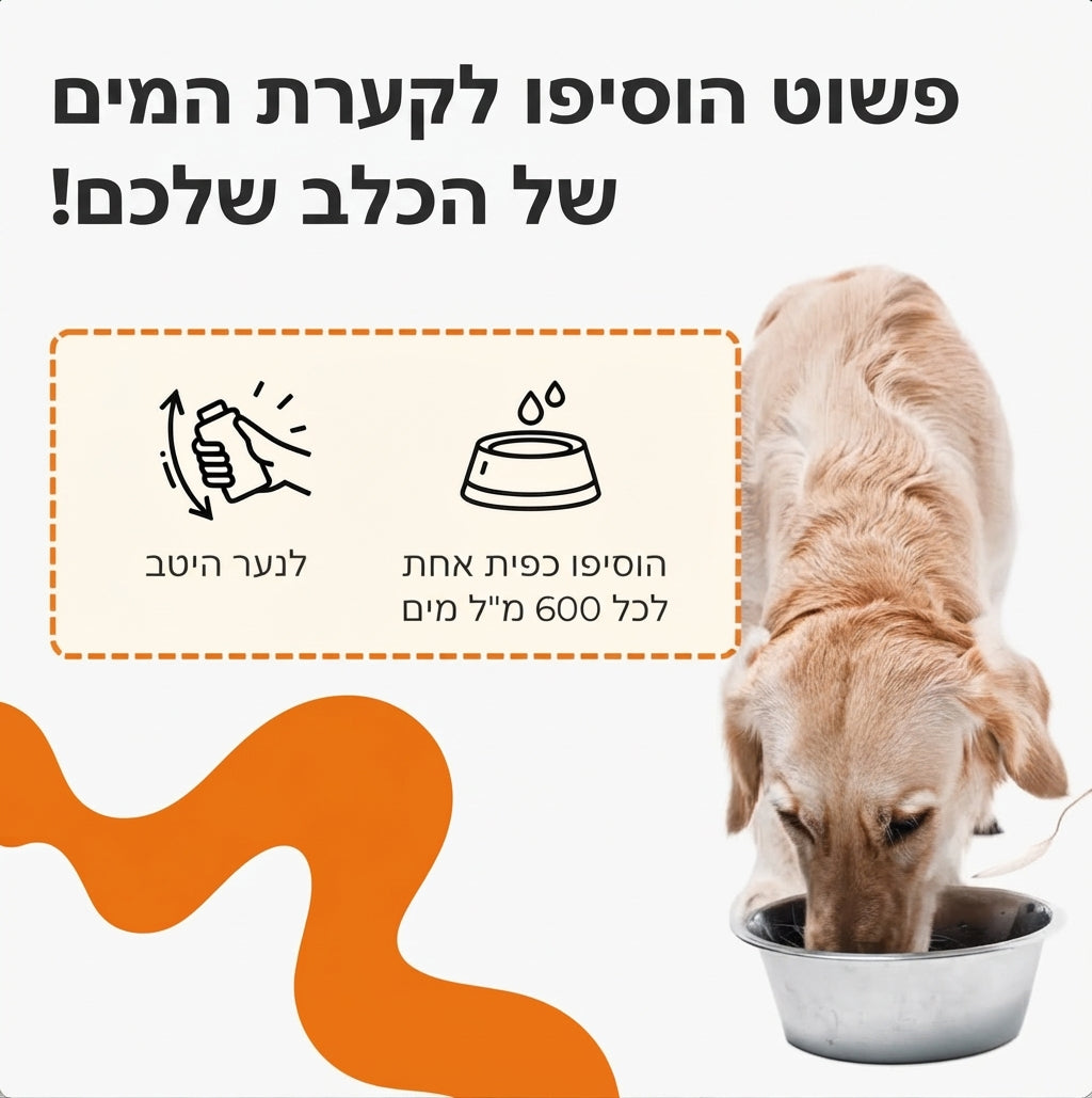 פשוט הוסיפו לקערת המים של הכלב — כפית אחת לכל 600 מ"ל מים