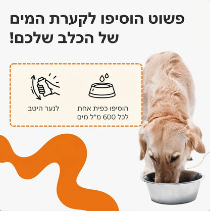 פשוט הוסיפו לקערת המים של הכלב — כפית אחת לכל 600 מ"ל מים