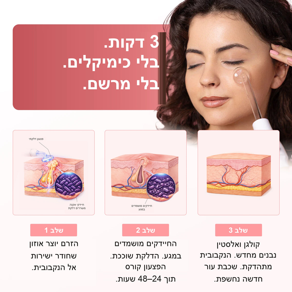 גלריה 3