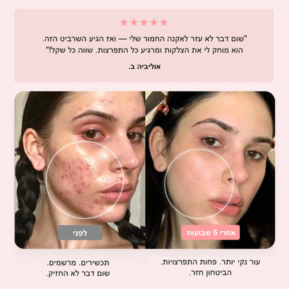 גלריה 6